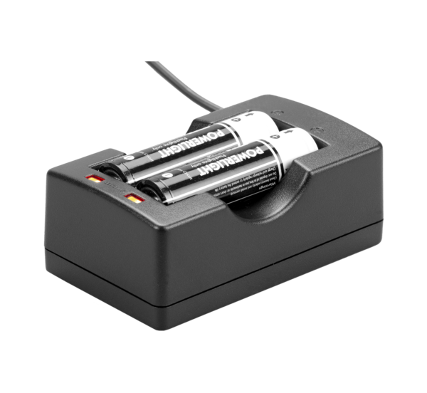 POWERLIGHT DUAL-II battery charger