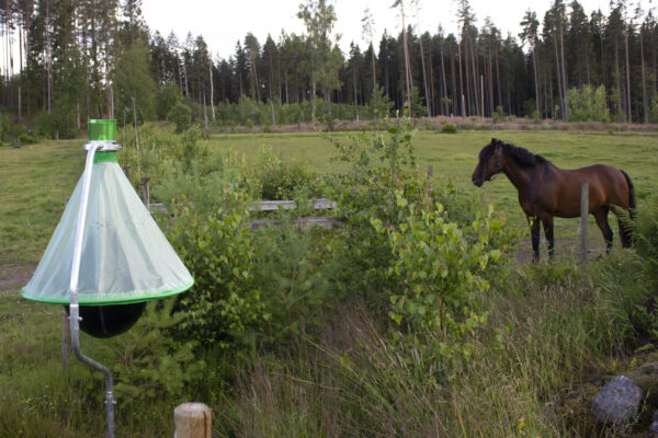Original H-Trap horsefly trap - horsefly nuisance 10.000 m² - Image 3
