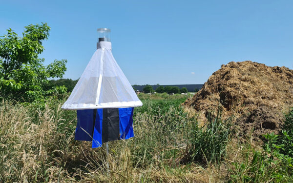 Catching stable flies with a StomoxyCC Trap / Fighting Stomoxys