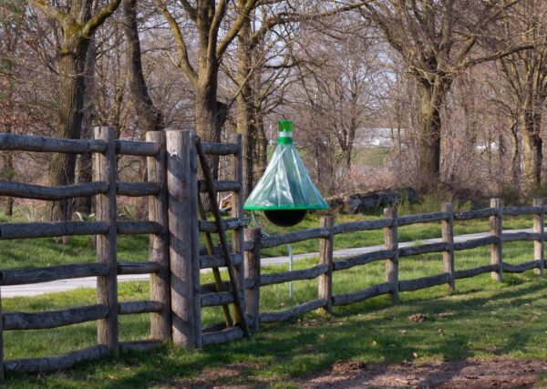 Horsefly trap HF-Magnet Professional system H-trap series - Horsefly bite? - Image 5