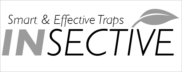 Insective