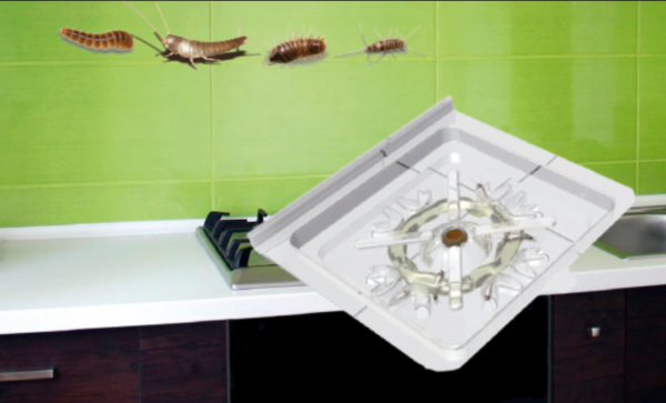 Silverfish trap S-trap 30 pieces Controlling silverfish - Image 2